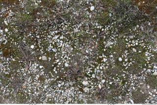 Photo of Nature Textures